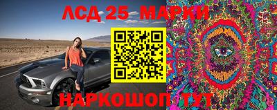 герыч Бийск
