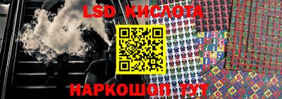 шишки Берёзовский