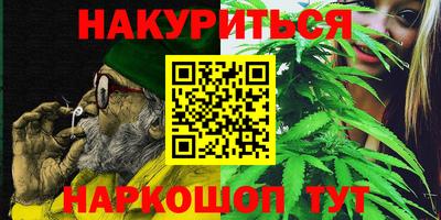 дмт Гатчина