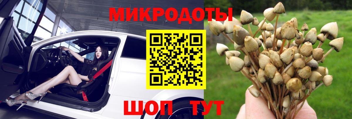 Псилоцибиновые грибы GOLDEN TEACHER Зима